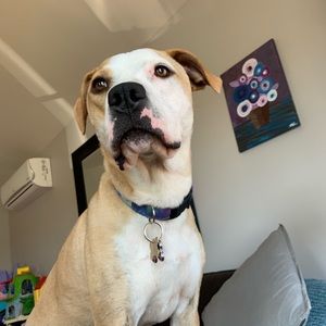 Meet your Posher, Mandy